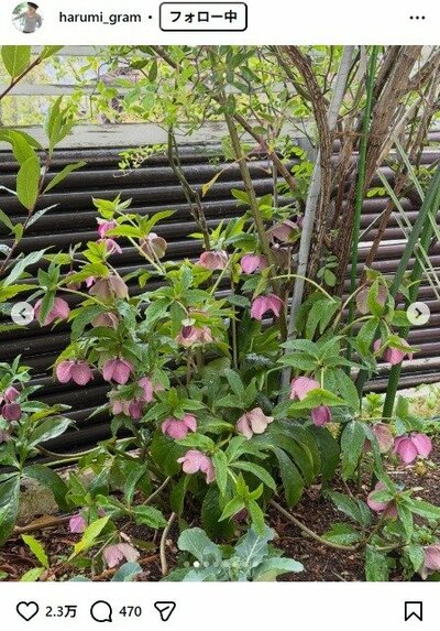 栗原はるみのInstagram投稿