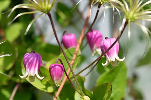 Walter Erhardt/shutterstock.com