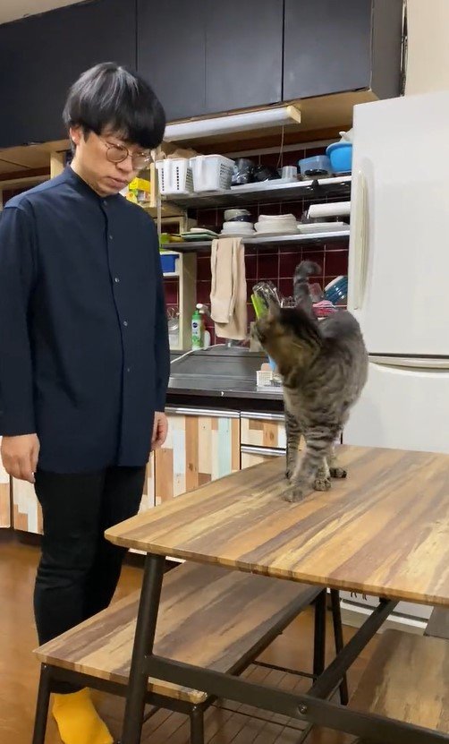 出所：@00shitemita