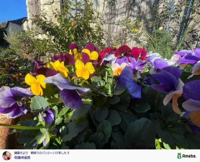 出所：假屋崎省吾の公式ブログ　参照日：2025年12月24日