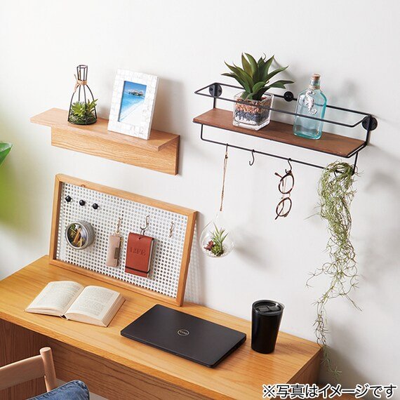 出所：ニトリ公式通販ニトリネット フェイクグリーン ハンギングテラリウム ガラス容器(多肉 HA31697)