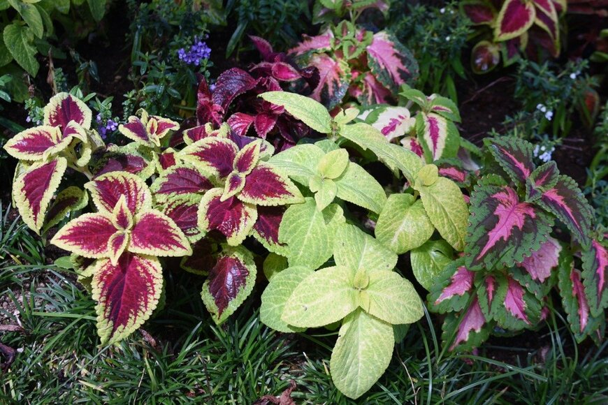 undefined undefined/istockphoto.com