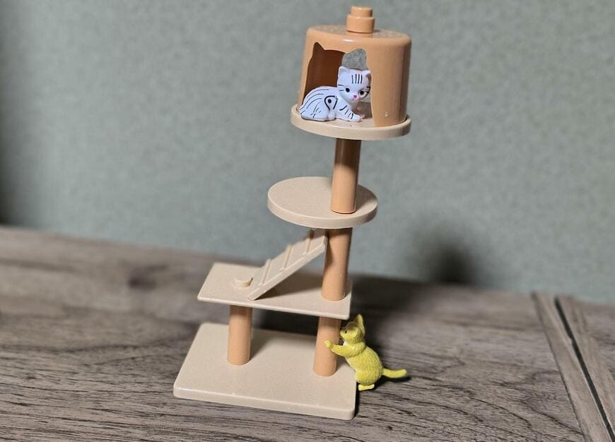 筆者撮影（ダイソー、にゃんことおうち）