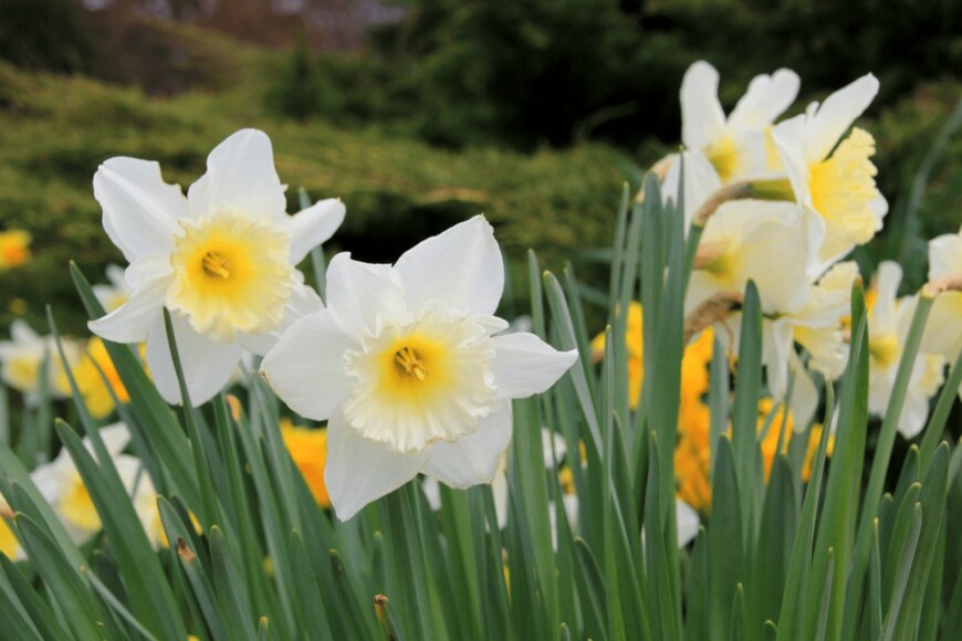 Federherz/istockphoto.com