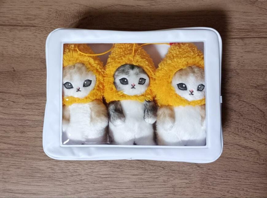 筆者撮影（セリア、窓付きポーチ 長方形）