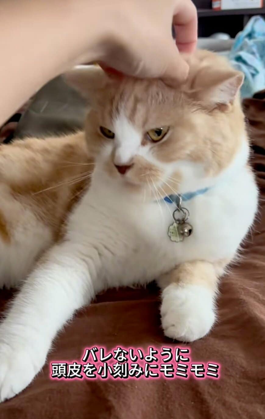 出所：@sorakai0905