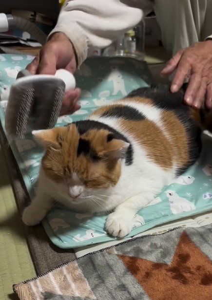 出所：@mike_noritama