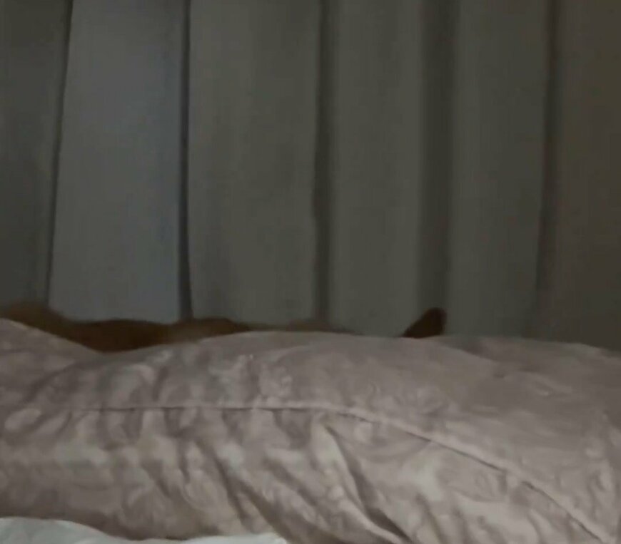 出所：@fufufufufu_ta