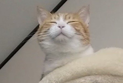 出所：@mero627puri914