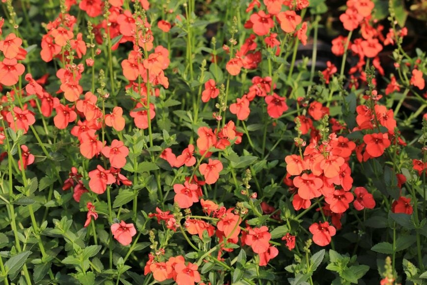 Traveller70/shutterstock.com