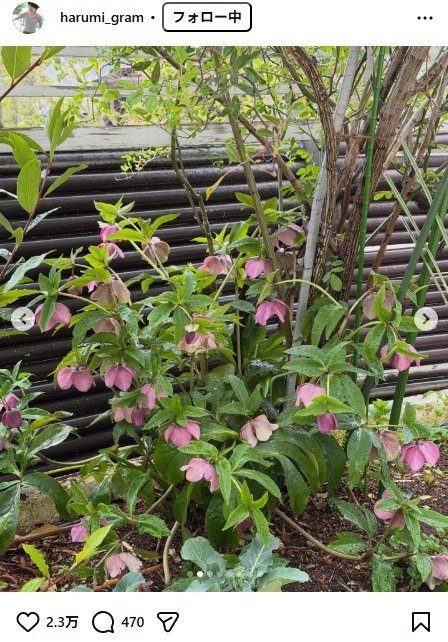 出所：栗原はるみのInstagram（＠harumi_gram） 参照日：2026年3月24日