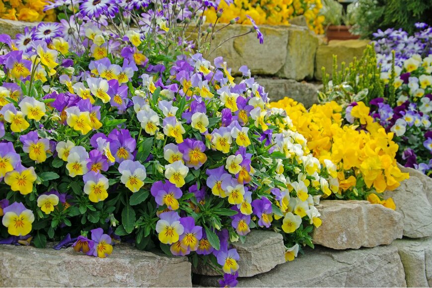 M. Schuppich/Shutterstock.com