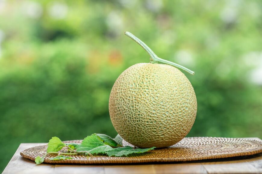 MERCURY studio/shutterstock.com
