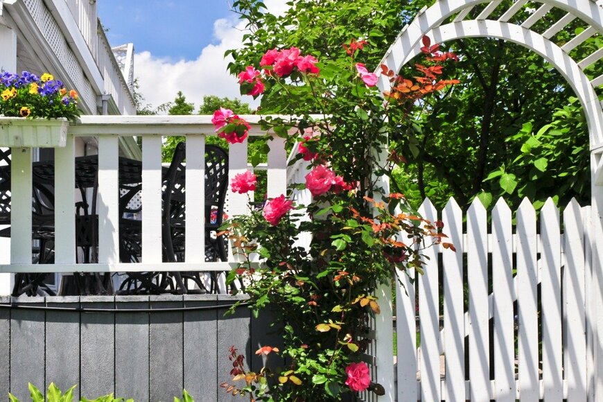 Elenathewise/istockphoto.com