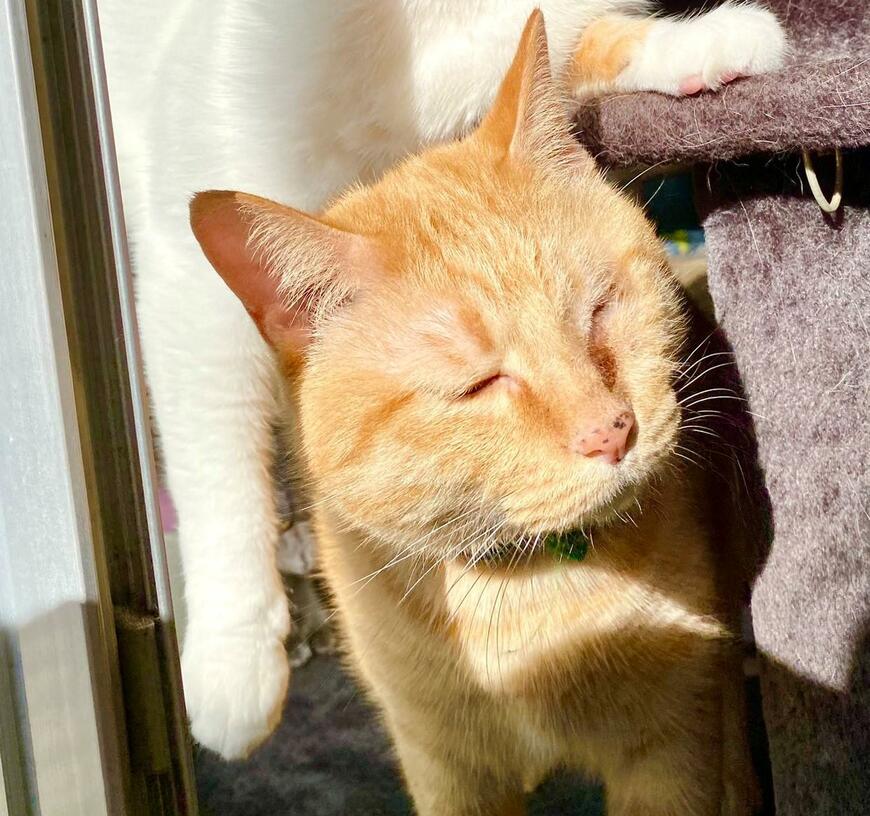 出所：@luna7taka9 