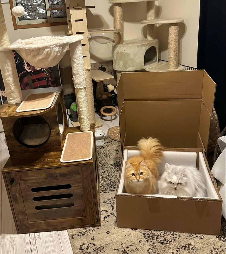 出所：@NEKOLAND13