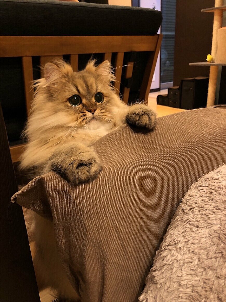 出所：@UphQepCv8J