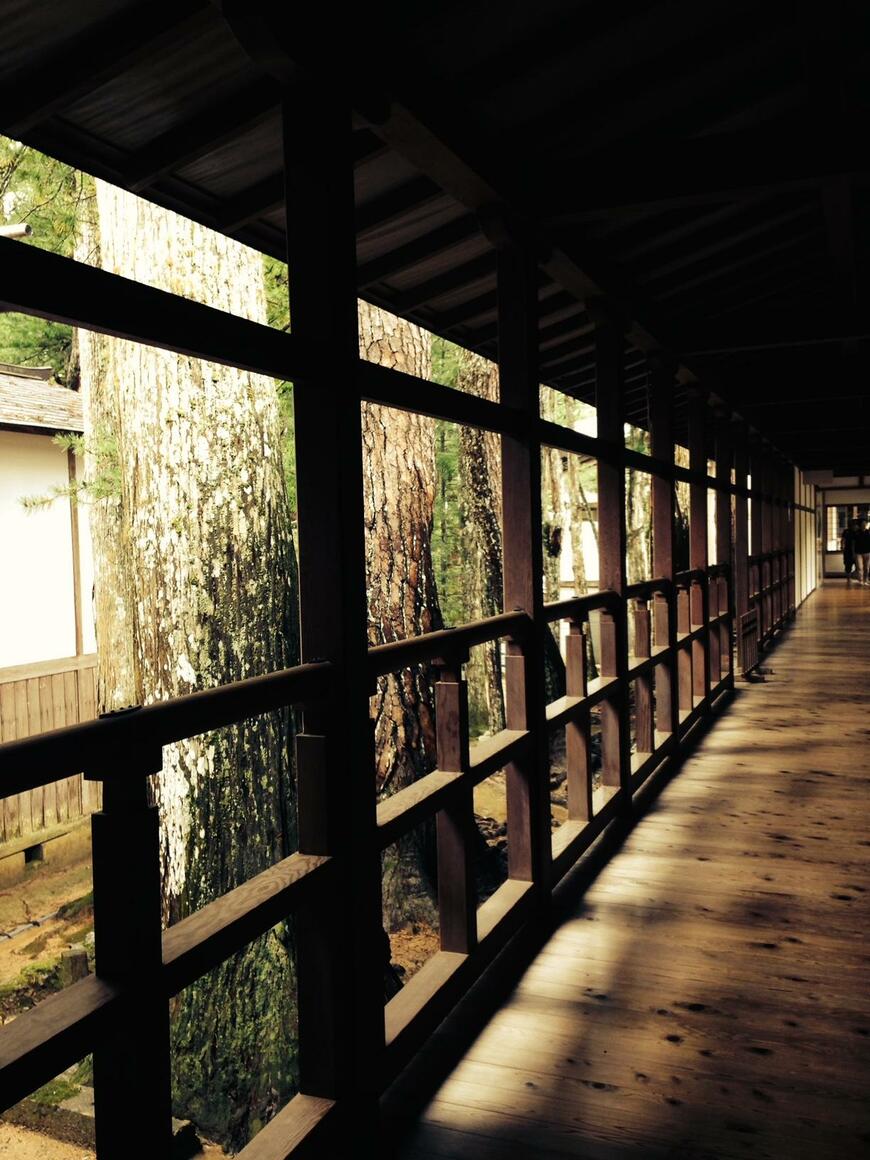 写真：筆者撮影