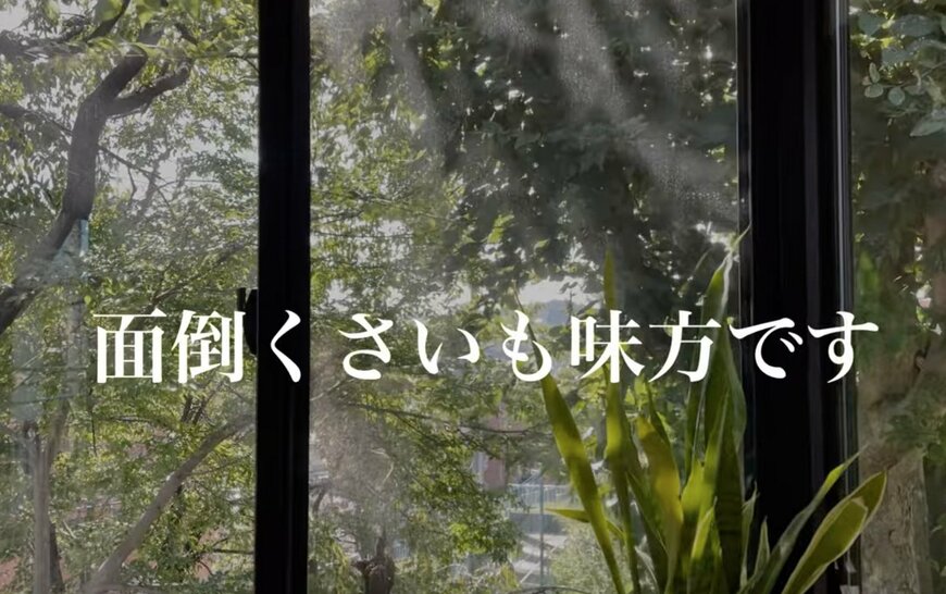 窓辺の観葉植物と緑の景色