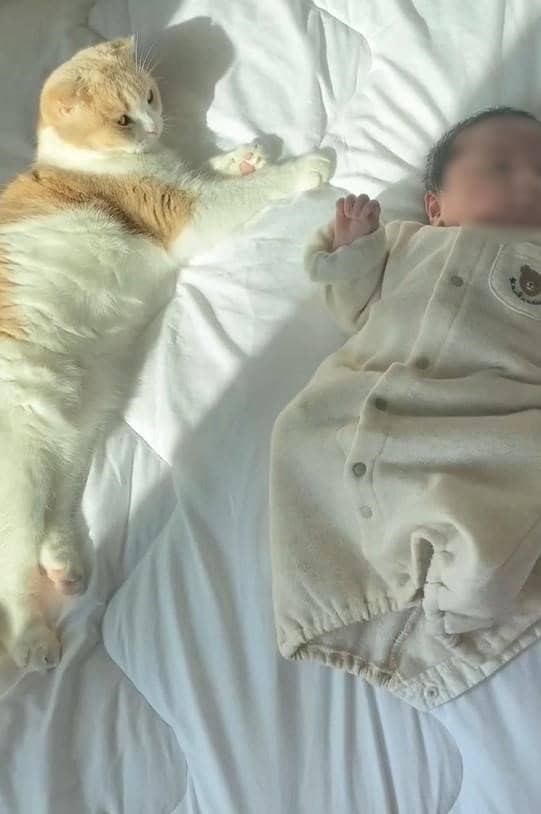 赤ちゃん時代のふうちゃんと、見守るまろんちゃん