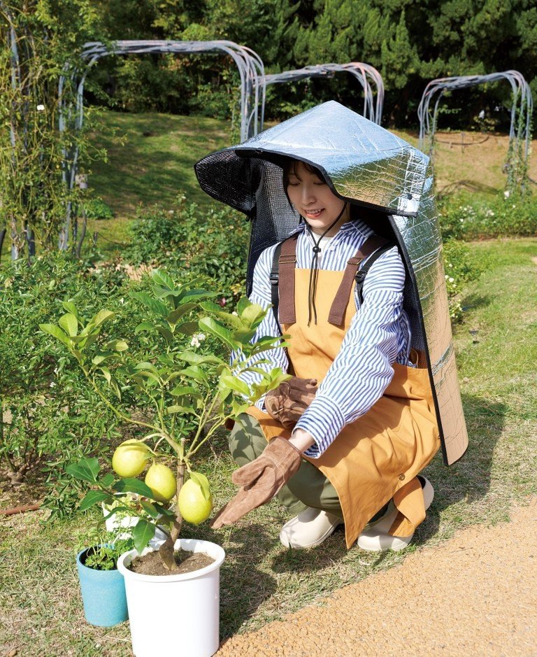 出所:株式会社コジット