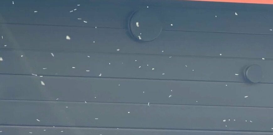 ぱっと見は雪に見えますが&hellip;