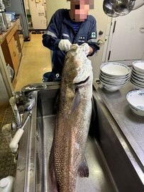 タンカー船で引き上げた巨大魚「オオニベ」　35食以上のおかずに変身「漁船やん」