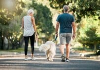 65歳になるまでの老齢年金と失業給付は同時に受け取れない？支給停止が続くと年金はいくら止まる？計算シミュレーション