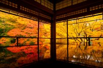 【全国旅行支援】2023年11月13日に京都の予約再開！全国旅行支援＆独自割を実施する県まとめ