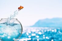 【おひとりさま男性】厚生年金はいくら受け取れるのか