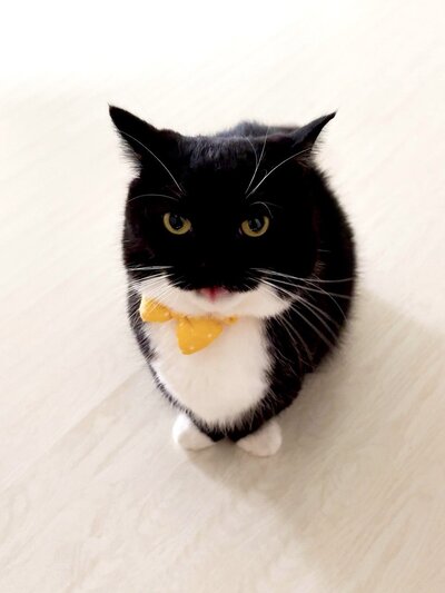 クリッとした目がかわいいうにくん