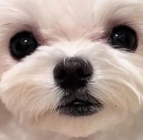 投稿の画像