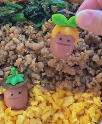 投稿動画のワンシーン