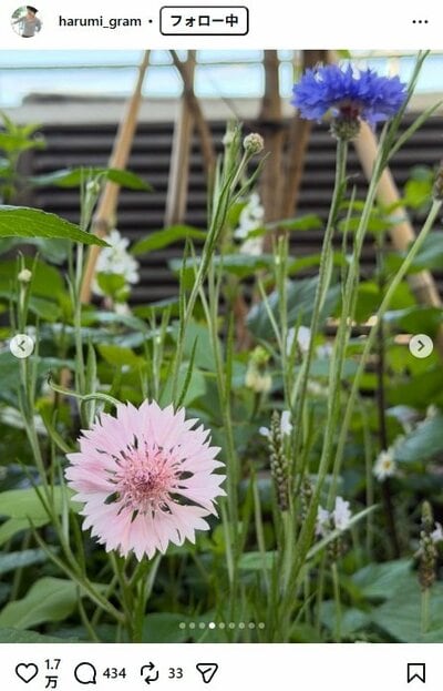 栗原はるみのInstagram投稿