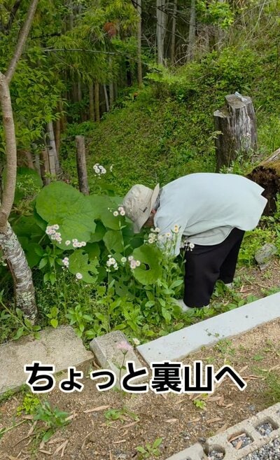 80代のおばあちゃん