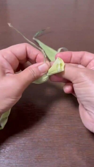 投稿の画像