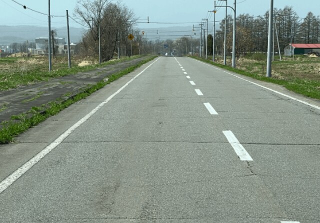 北海道旅行で帯広市の近郊をドライブ中　道路にあったまさかの落とし物に驚きの声が続出