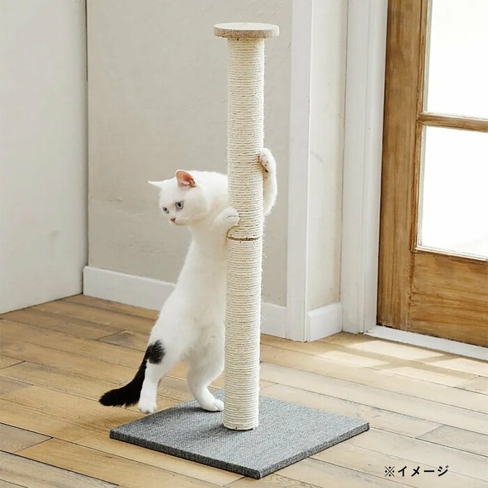 カインズの「爪とぎロングポール」