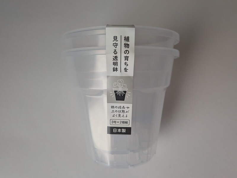 直径約10cmです