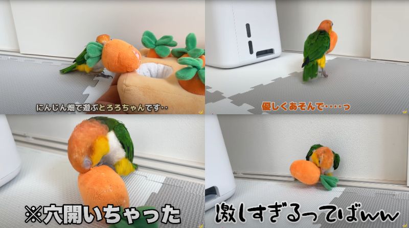 出所：@anz_omomiri