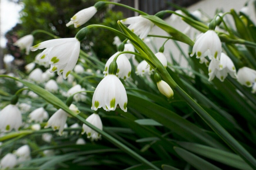 Orthosie/istockphoto.com