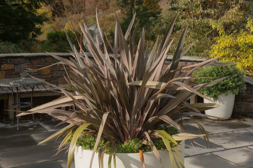 Peter Turner Photography/shutterstock.com