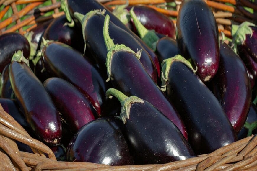 photalina/shutterstock.com