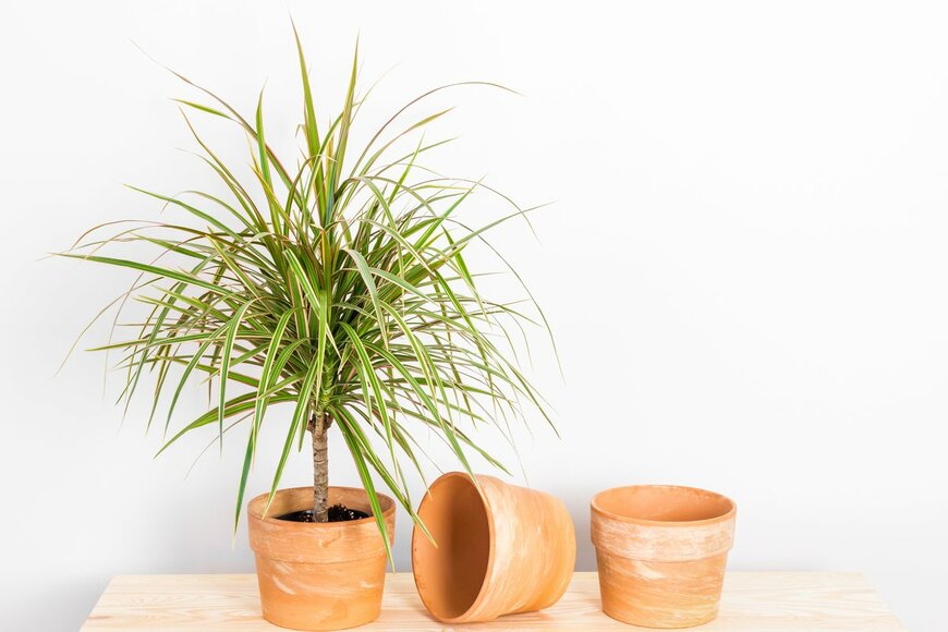 Studio Light and Shade/Shutterstock.com