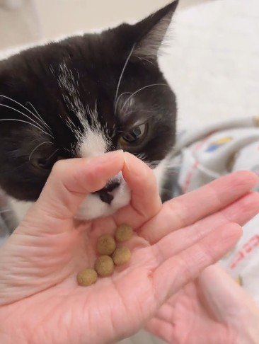 出所：@saburou214