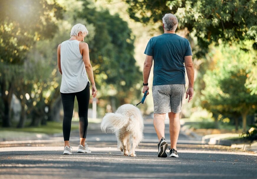 65歳になるまでの老齢年金と失業給付は同時に受け取れない？支給停止が続くと年金はいくら止まる？計算シミュレーション