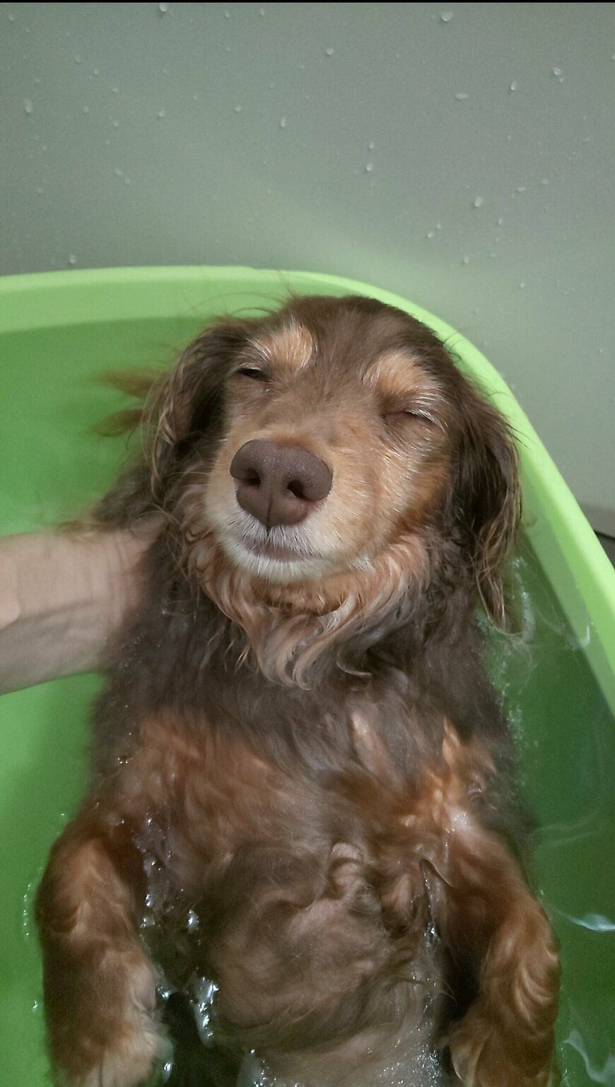 出所：@Forester_572