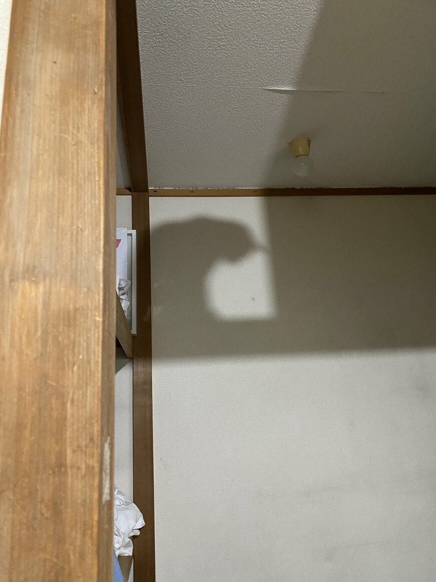 出所：@00shitemita