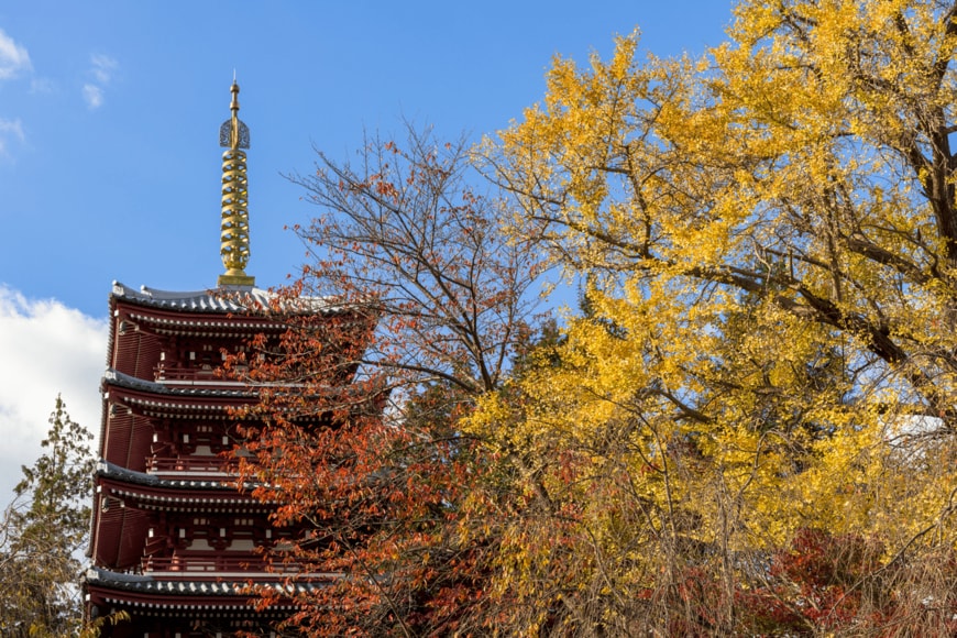 San Hoyano/shutterstock.com