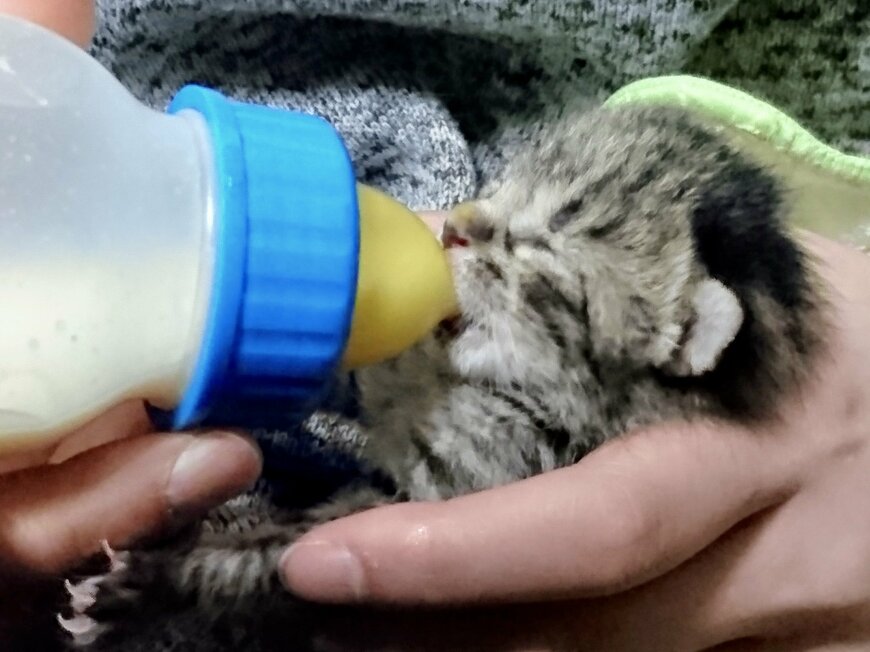 出所：@luna7taka9